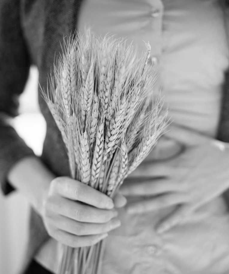 Intolerancias y alergias nutricionales